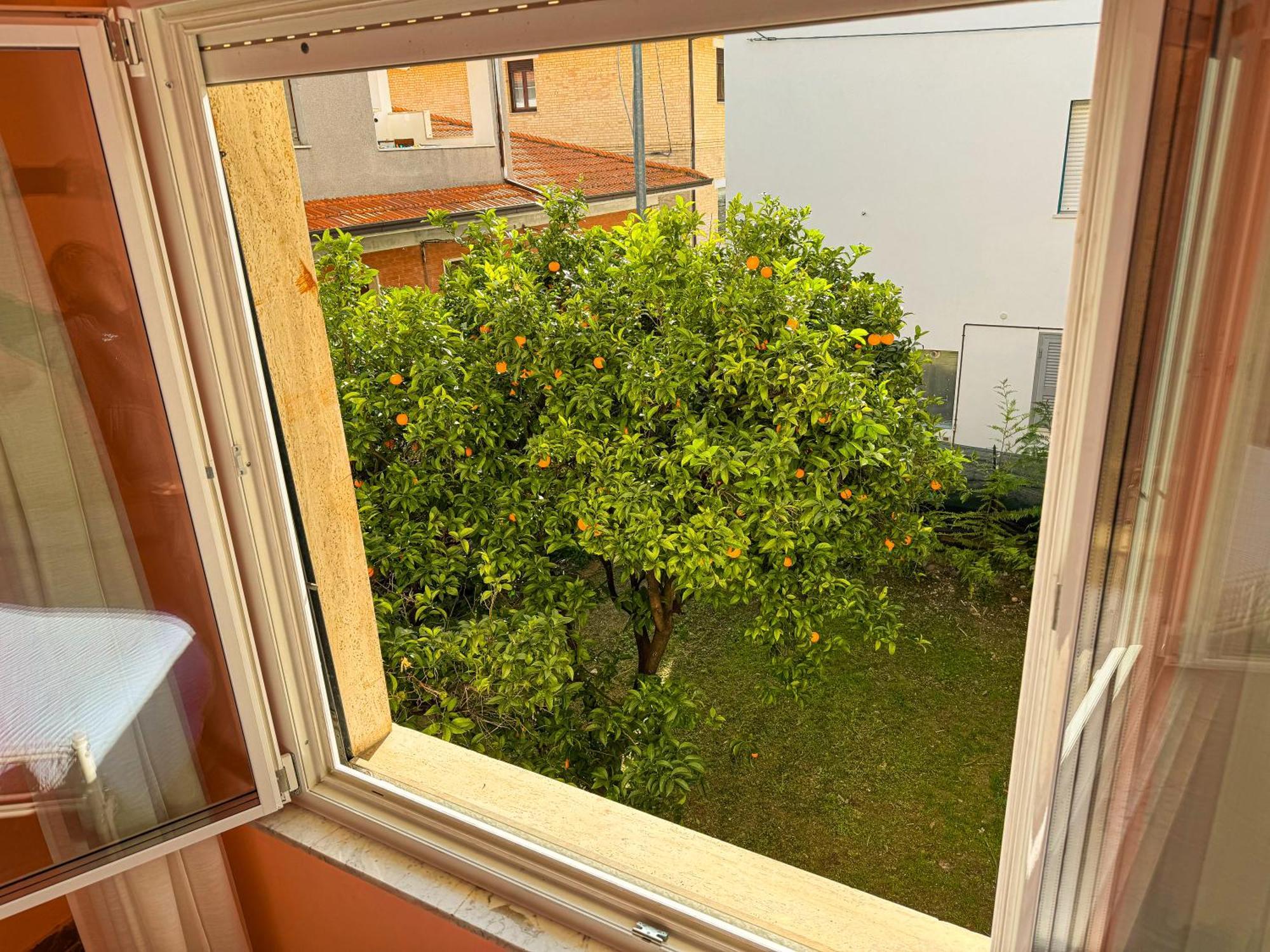 Bel Fiore San Benedetto del Tronto Eksteriør bilde